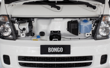 Bongo